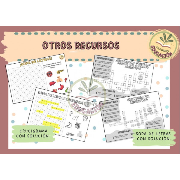 PACK APARATO DIGESTIVO