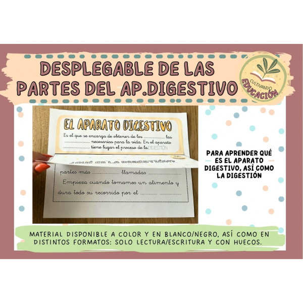 PACK APARATO DIGESTIVO