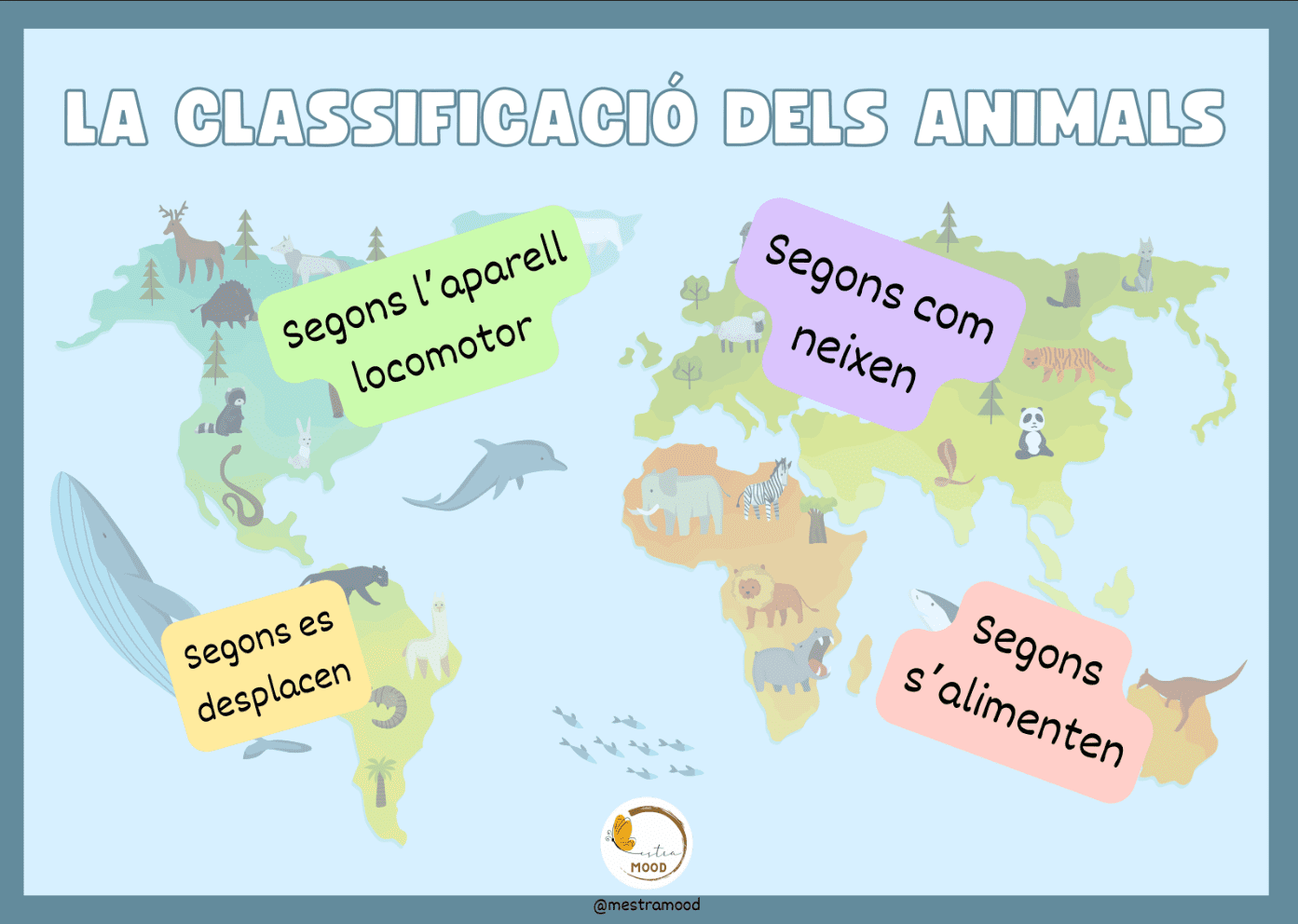 Classificació d'animals