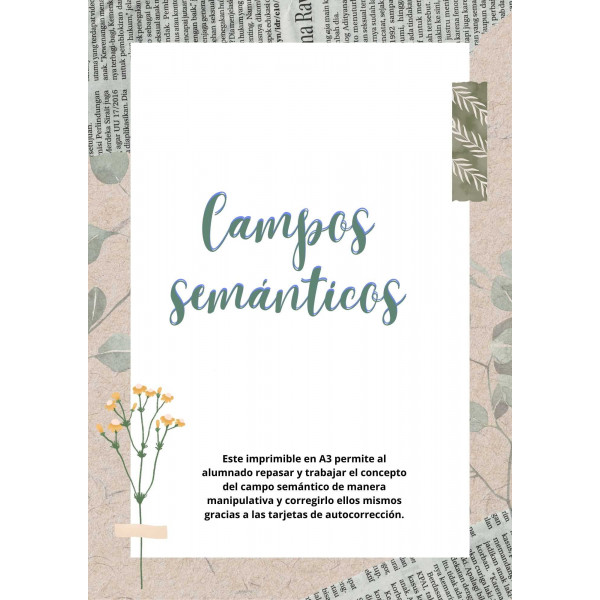 Los campos semánticos