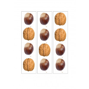 Series con frutos del otoño