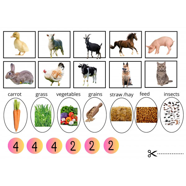 Farm animals pack