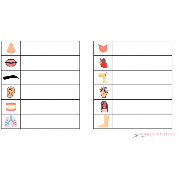 PLANTILLES DICTAT MUT.