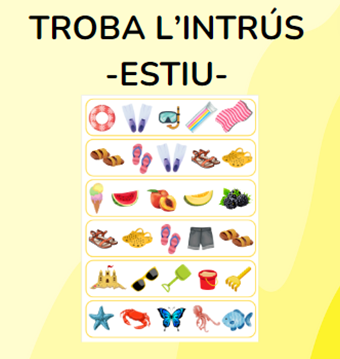 Troba l'intrús ESTIU