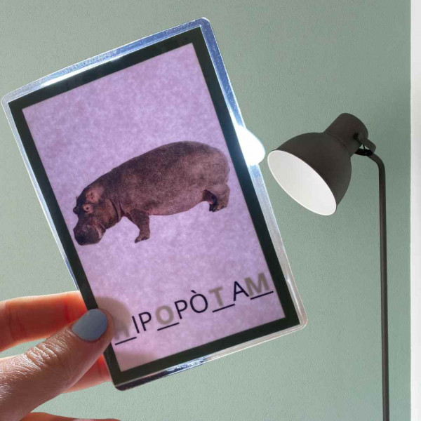 Targetes de vocabulari autocorretives