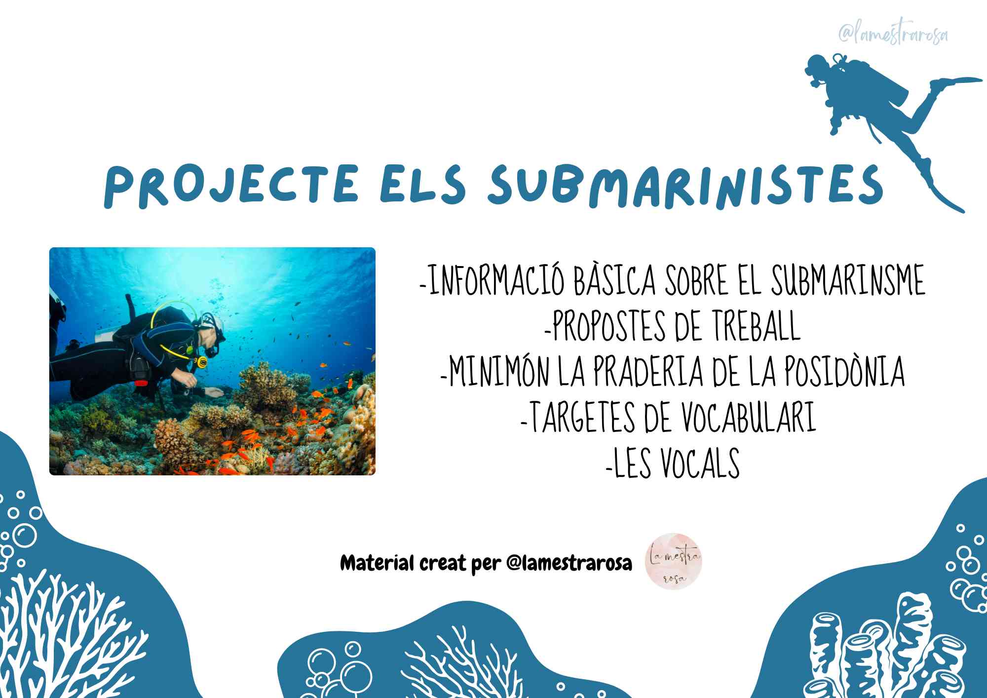 Projecte ELS SUBMARINISTES @lamestrarosa