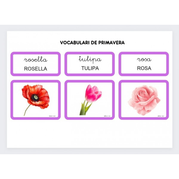 VOCABULARI DE PRIMAVERA