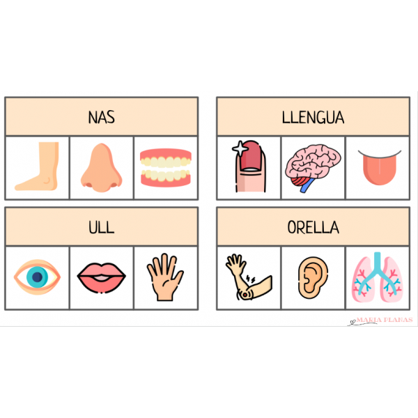 JOC LECTURA DE PARAULES. TRIA LA IMATGE CORRECTA. EL COS HUMÀ. PARTS DEL COS.