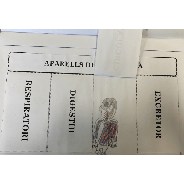 FLIPBOOK APARELLS DEL COS HUMÀ.