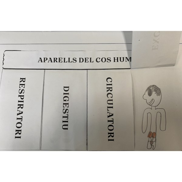 FLIPBOOK APARELLS DEL COS HUMÀ.