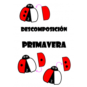 Descomposición - primavera