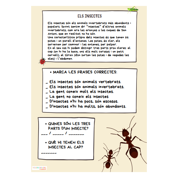 Quadern comprensió lectora