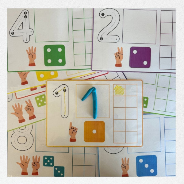 Coneixement dels números