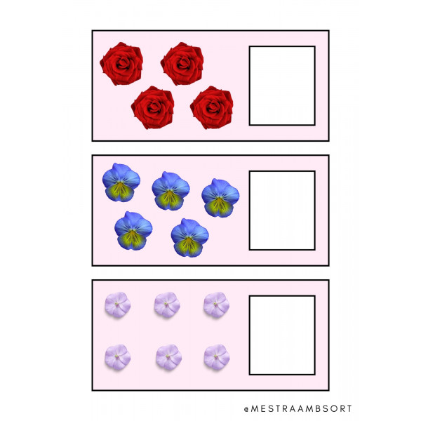 Dossier flors primavera