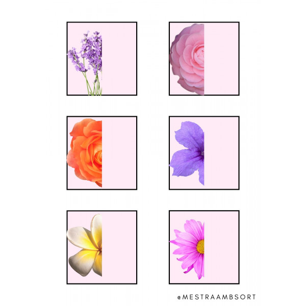 Dossier flores primavera