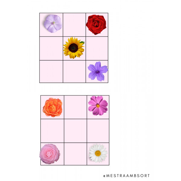 Dossier flores primavera