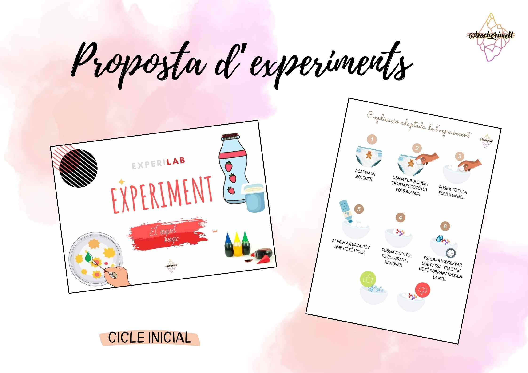 PROPOSTES EXPERIMENTS (Cicle Inicial)