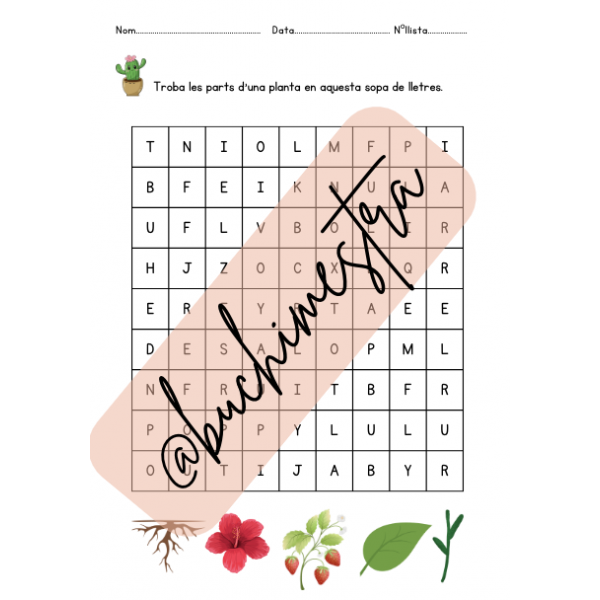 La vida de les plantes