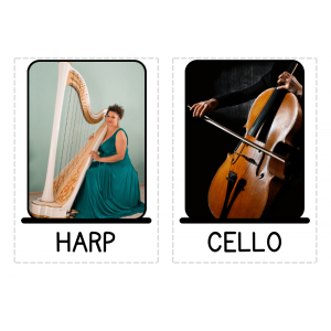 Discovering instruments