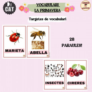 VOCABULARI PRIMAVERA (FLASHCARDS)