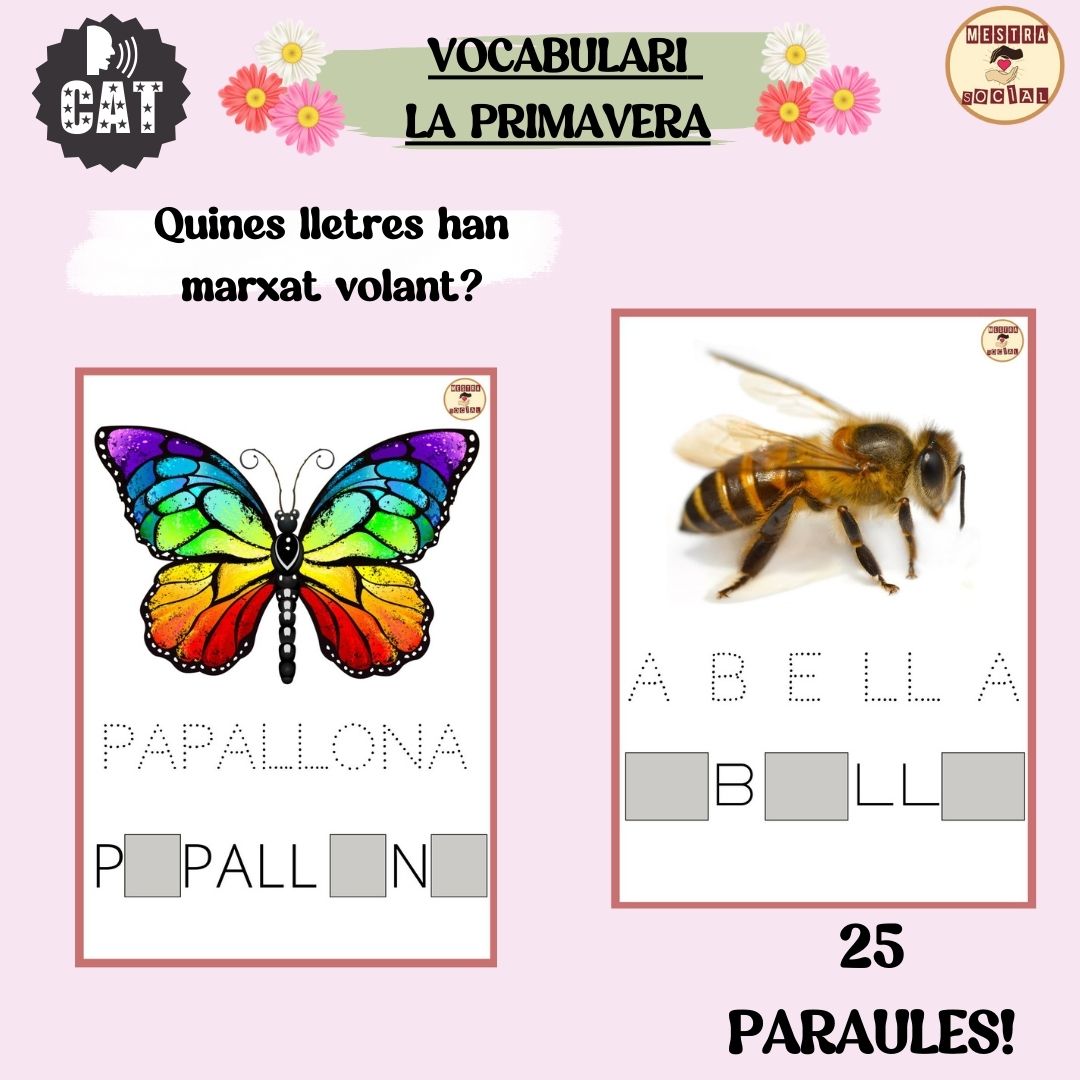 TARGETES QUINA LLETRA HA MARXAT VOLANT? LA PRIMAVERA