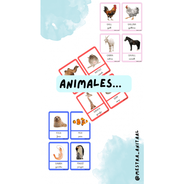 VOCABULARI PER CATEGORIES