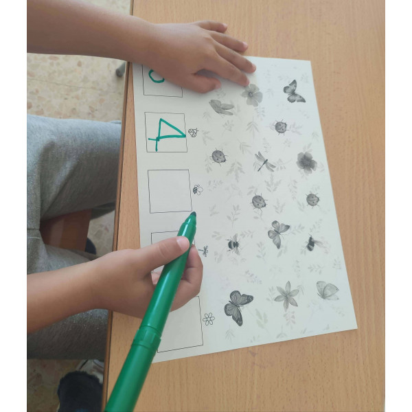 CONTEO INSECTOS PRIMAVERA