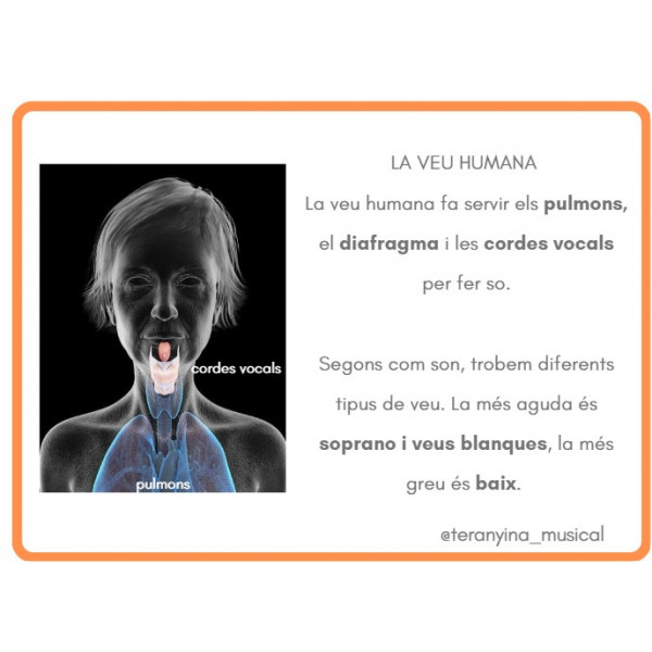 VEUS HUMANES: tot el que en vols saber...