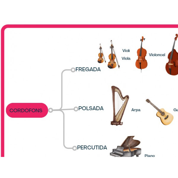 INSTRUMENTS DE CORDA: aprenem sobre els cordòfons i les agrupacions