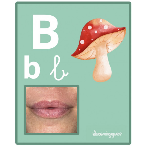 Abecedari fonològic i gràfic