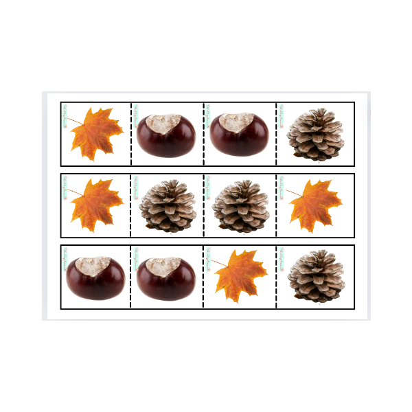 Proposta de seriacions