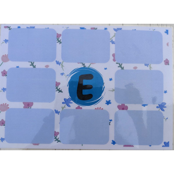 Consciència fonològica: VOCALS so inicial (català)