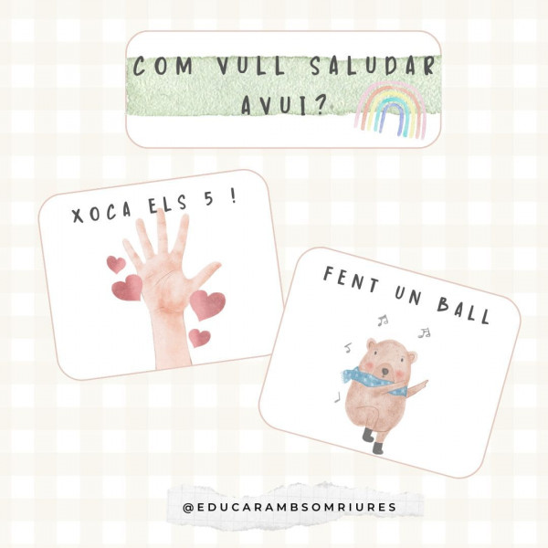 ELEMENTS DE GESTIÓ I DE REGULACIÓ D'AULA