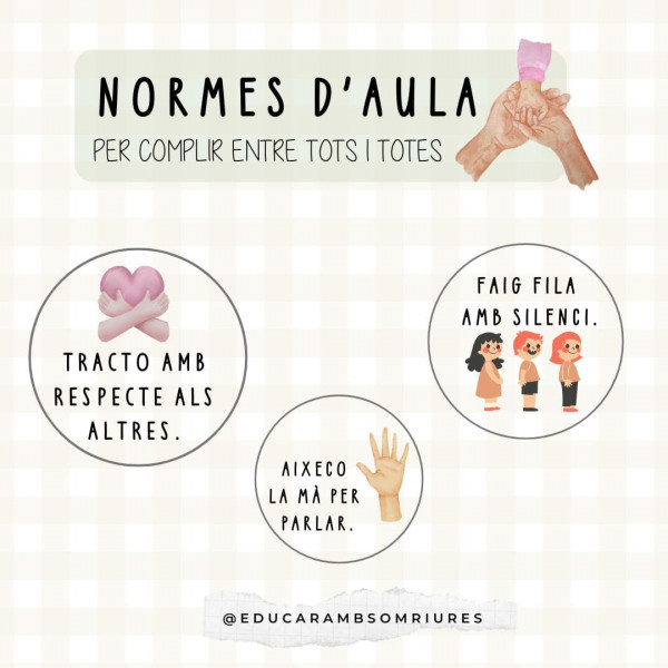 ELEMENTS DE GESTIÓ I DE REGULACIÓ D'AULA