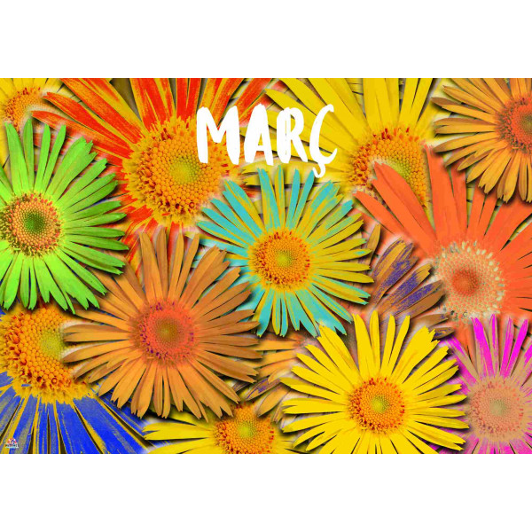 CARTELL ELS MESOS DE L'ANY