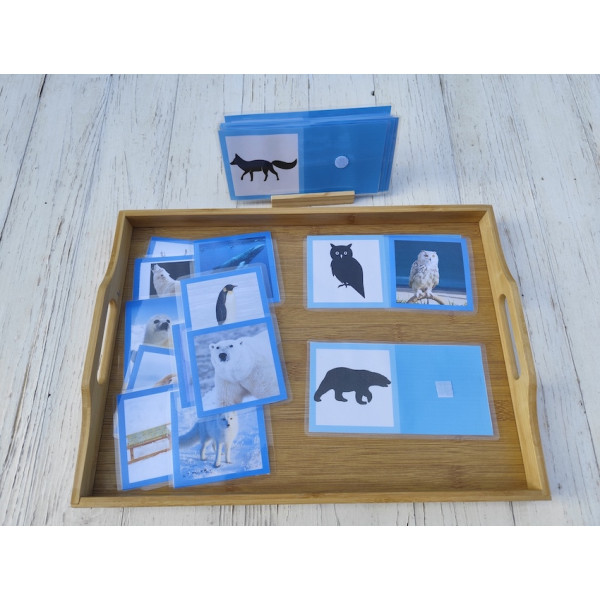 Material TEMÀTICA POLAR i PETJADES animals (català)