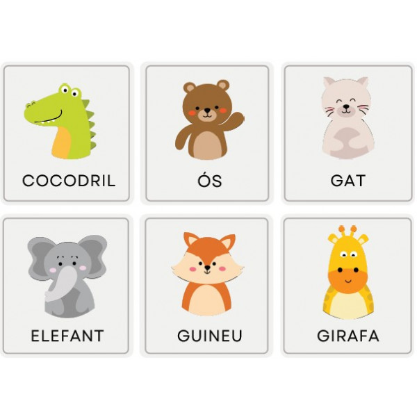 Targetes de vocabulari (imatge + paraula)