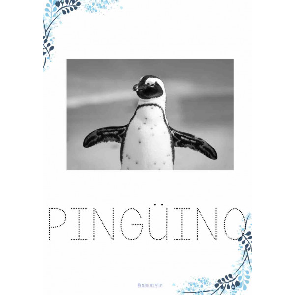 Dosier grafismo invierno