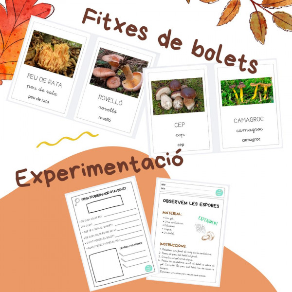 Caçadors i caçadores de bolets (el bosc a la tardor)