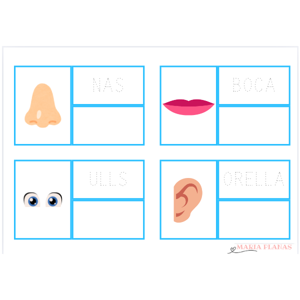 EL COS HUMÀ ACTIVITAT VOCABULARI. LECTURA I ESCRIPTURA. REPASSA I ESCRIU LA PARAULA. 20 PLANTILLES. LLETRA DE PAL.