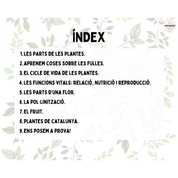 PRESENTACIÓ: Cuidem les plantes!