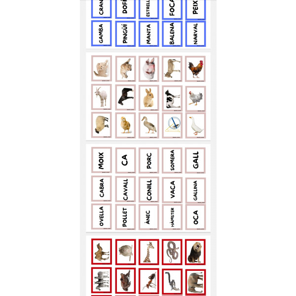 Memorys palabra-imagen por categorias