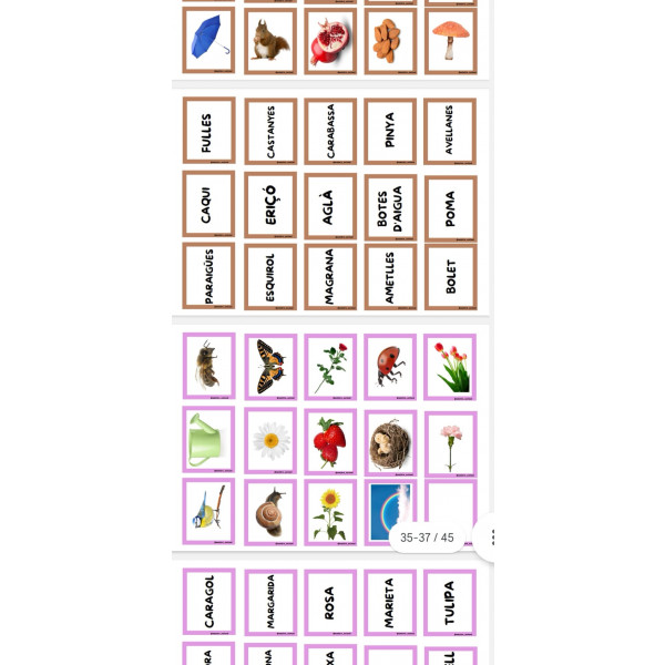 Memorys palabra-imagen por categorias