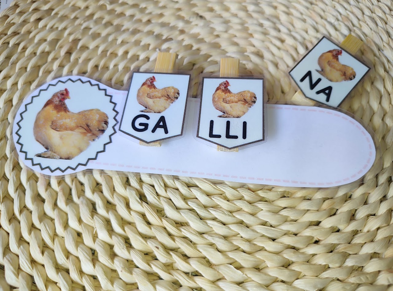 CONCIENCIA SILÁBICA