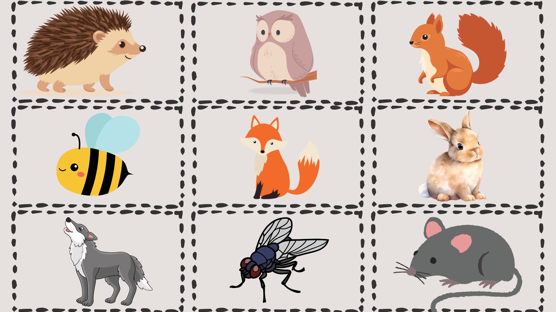 Femenino o masculino