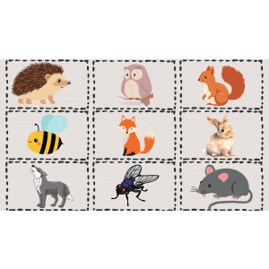 Femenino o masculino