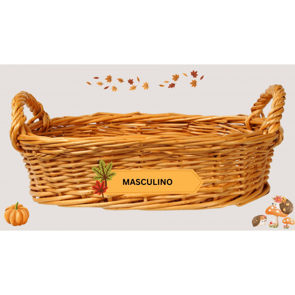 Femenino o masculino