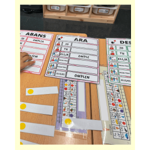Conjugant verbs. (Temps i formes verbals).