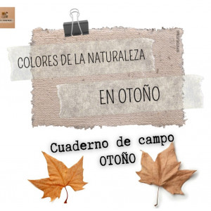 Colores de la naturaleza en otoño