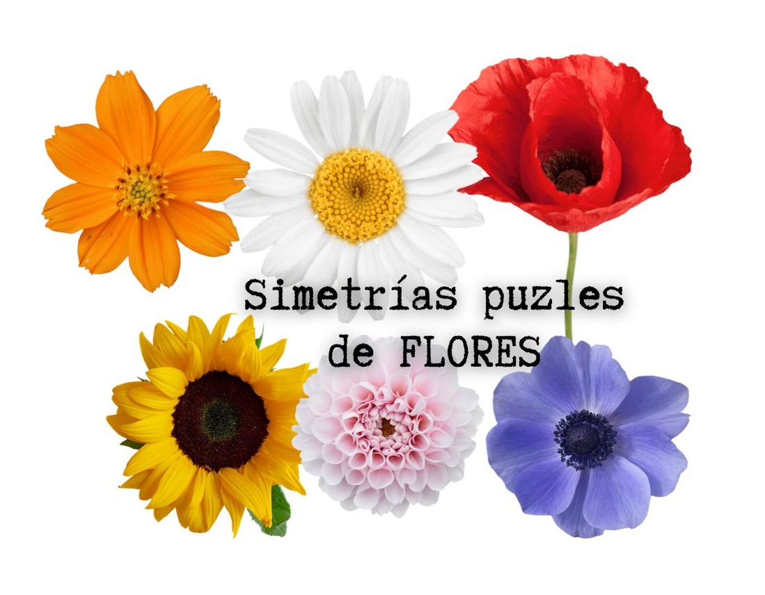 Simetrías puzles de flores